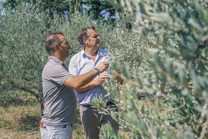 Le terroir du Domaine Métifiot